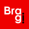 Bragi Web Site